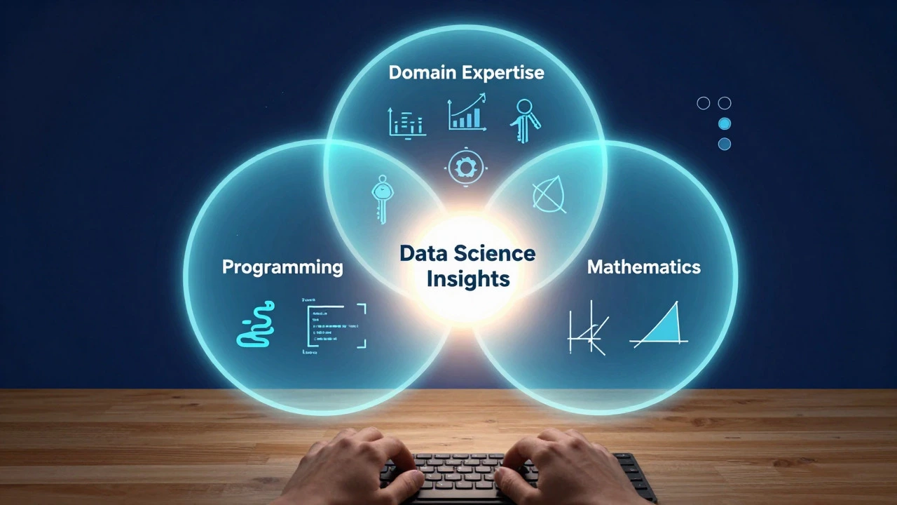 Conceptual Venn diagram illustrating programming, math, and domain expertise